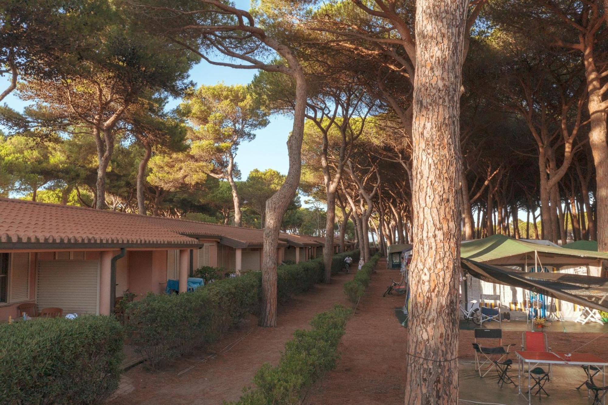 Gitavillage Argentario Albinia Kültér fotó The village